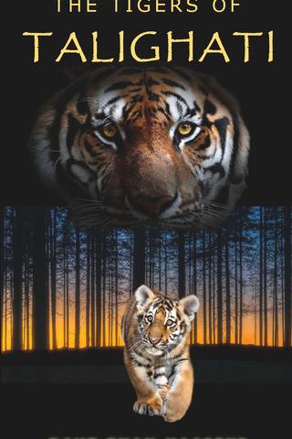 The Tigers of Talighati