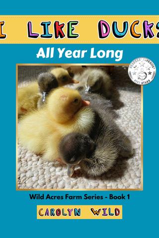 I Like Ducks: All Year Long